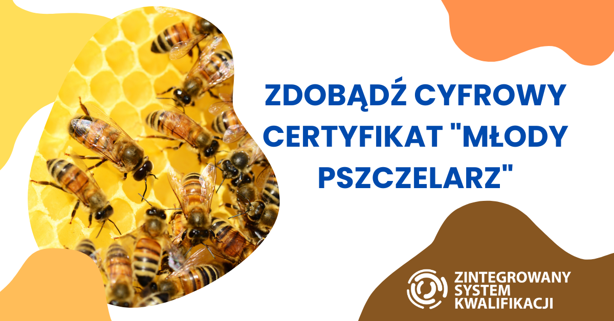 Cyfrowe odznaki pszczelarskie na Święcie Miodu w Gomunicach