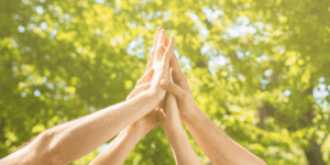 dłonie różnych osób przybijających wspólnie piątkę, na tle zielonej korony drzewa