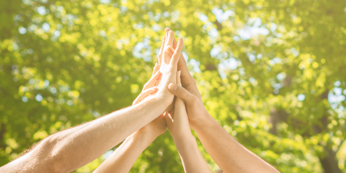 dłonie różnych osób przybijających wspólnie piątkę, na tle zielonej korony drzewa