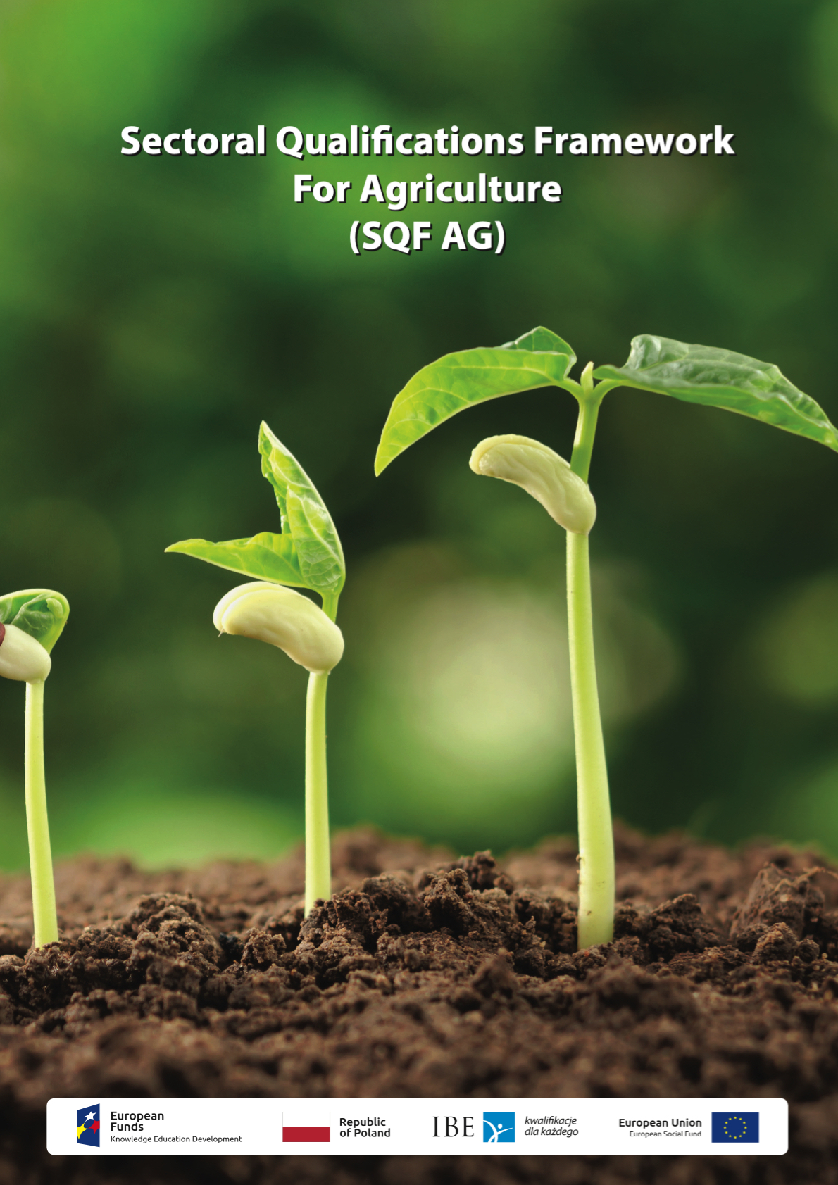 Read more about the article Sectoral Qualifications Framework For Agriculture (SQF AG)