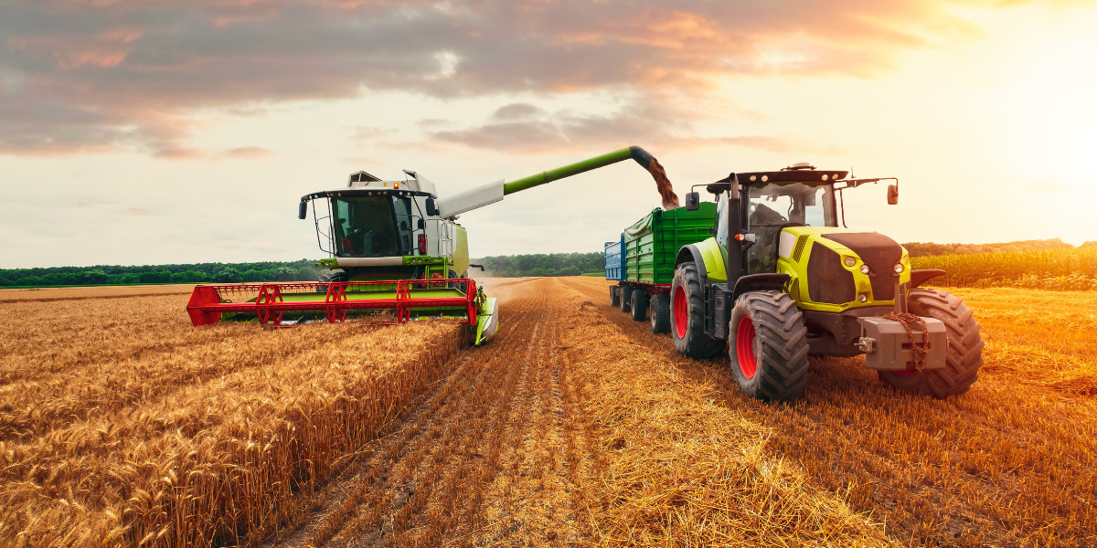 kombajn zbierający zboże na polu i przesypujący ziarno do przyczepy ciągniętej przez ciągnik